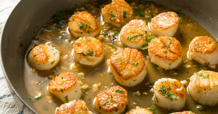 What are Scallops?