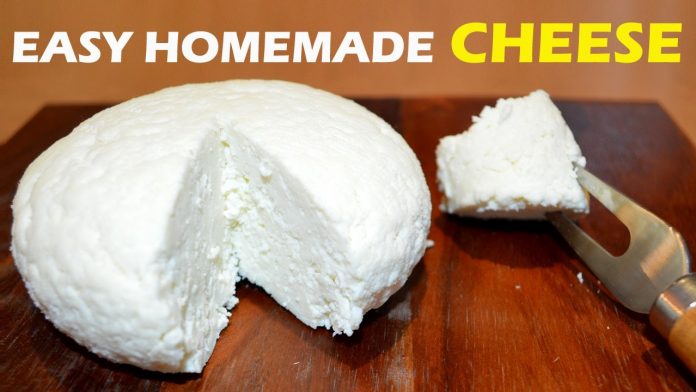 How to make cheese?